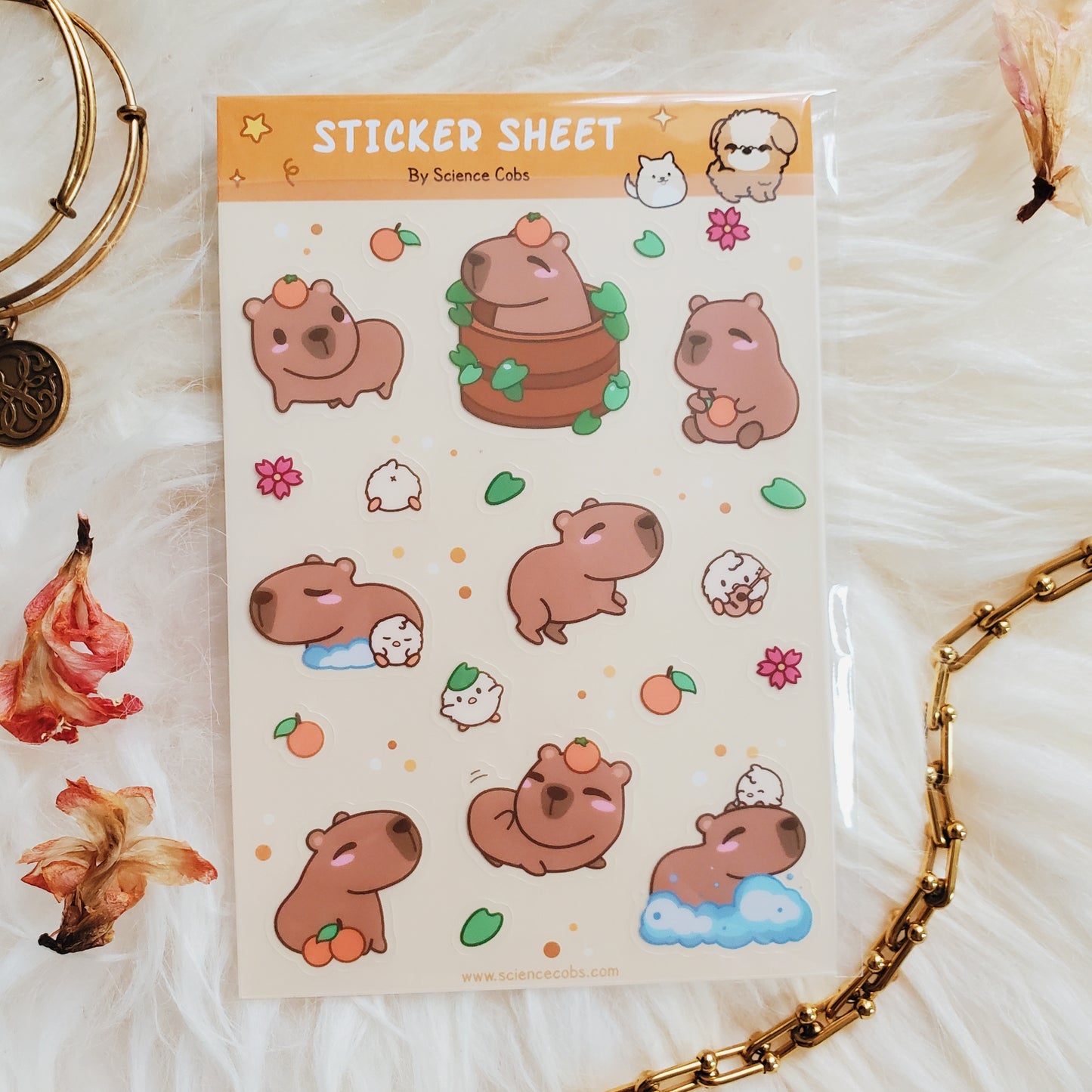 Capybara Sticker Sheet