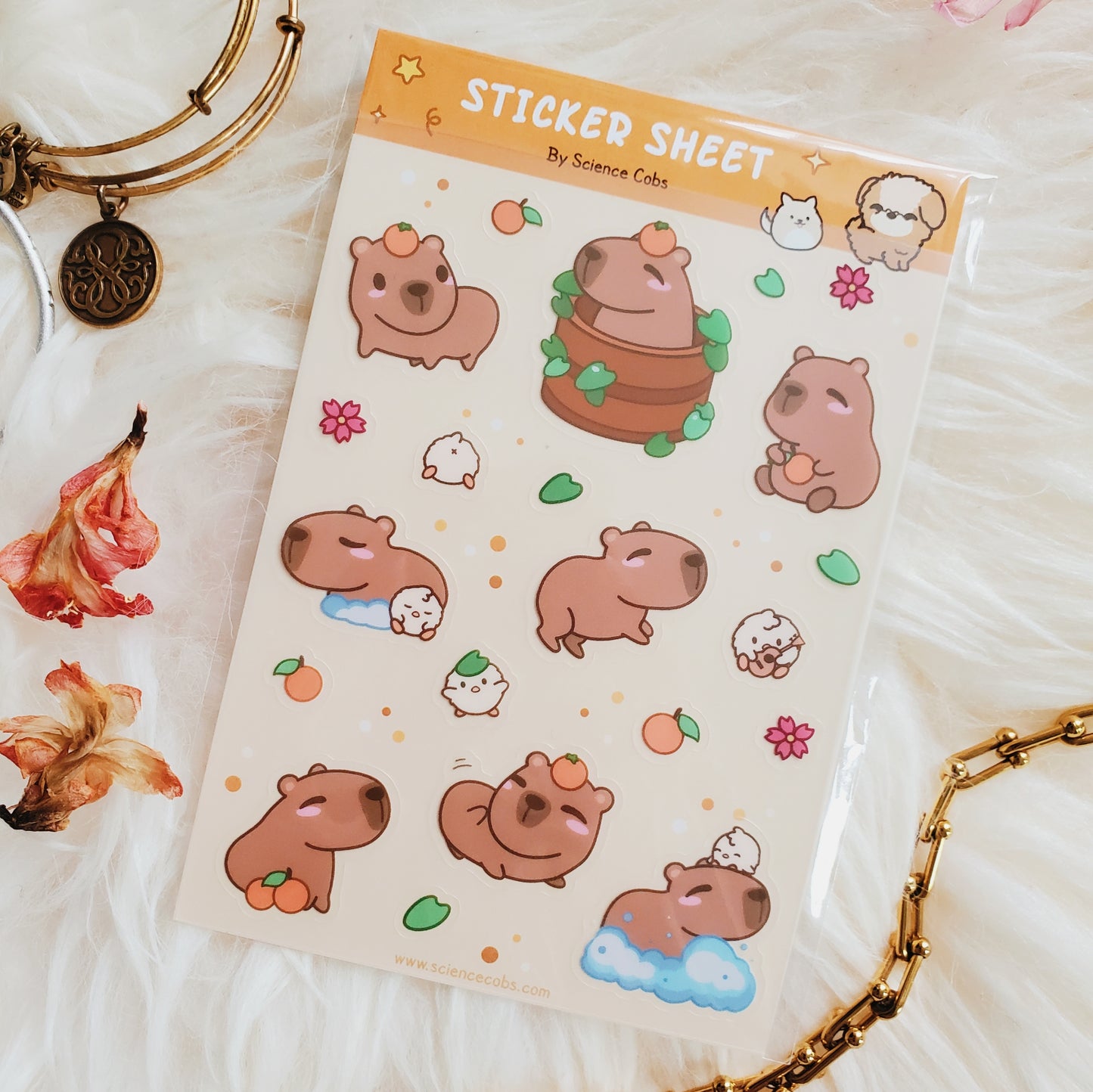 Capybara Sticker Sheet