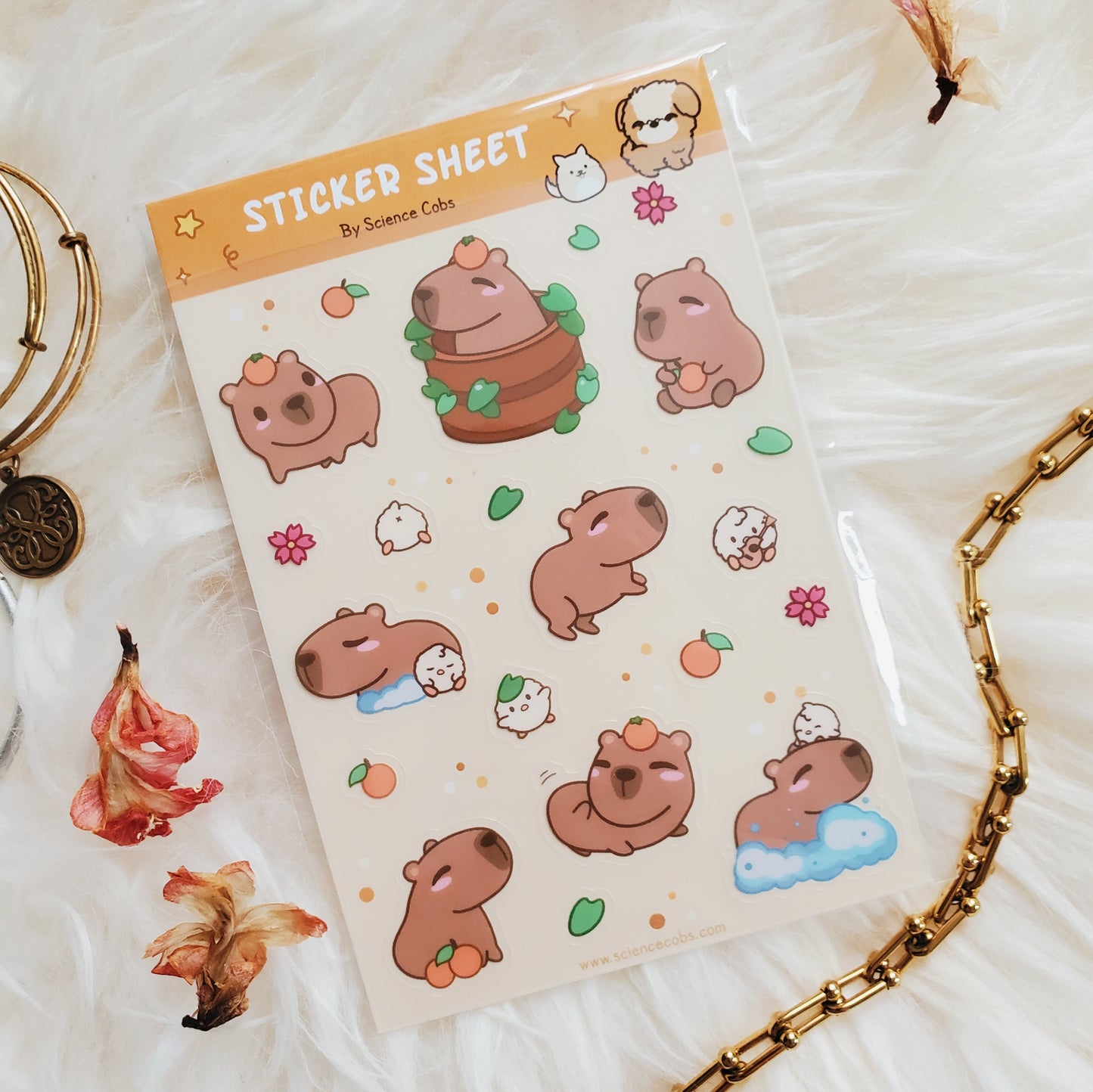 Capybara Sticker Sheet