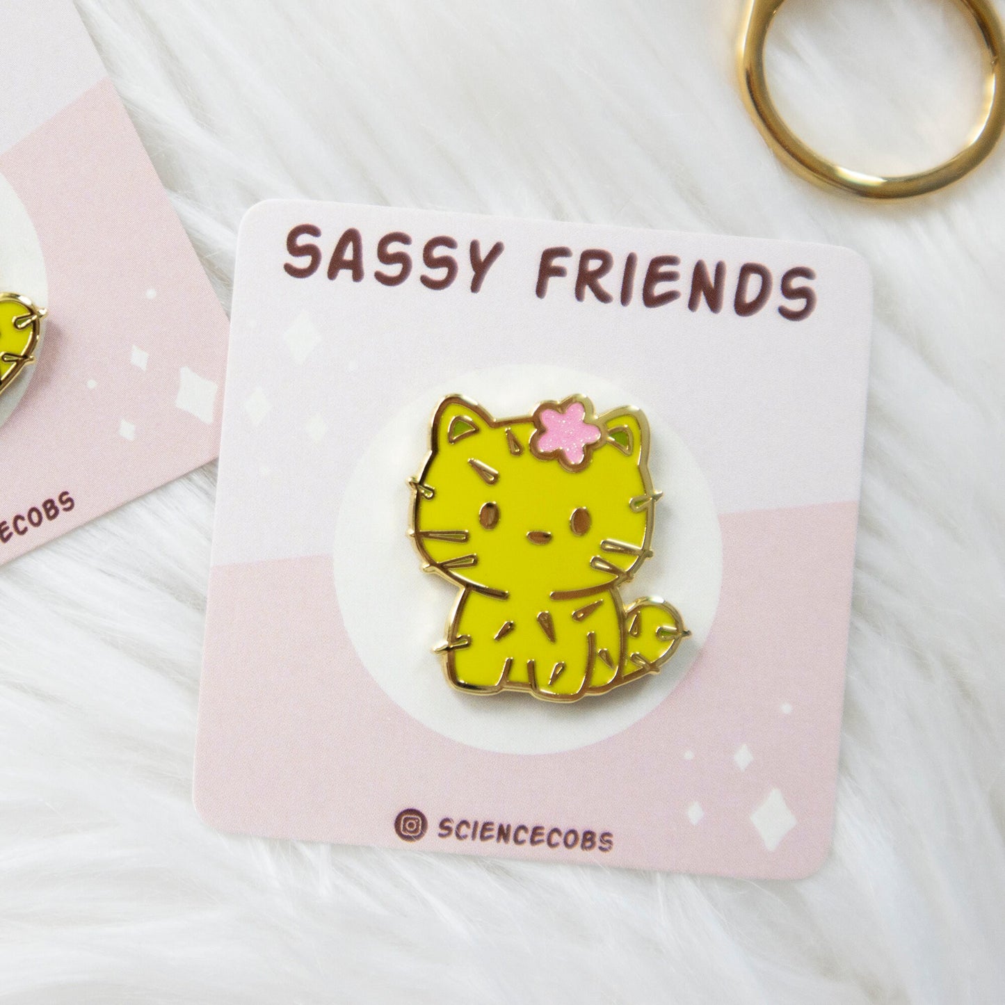 Cactus cat | Cute Cat Pin | Succulent Cat